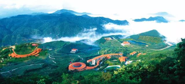 梅州雁南飞为何爆红？“靠山吃山”！