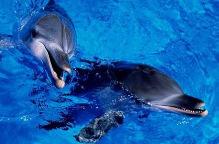 海洋主题公园规划建设